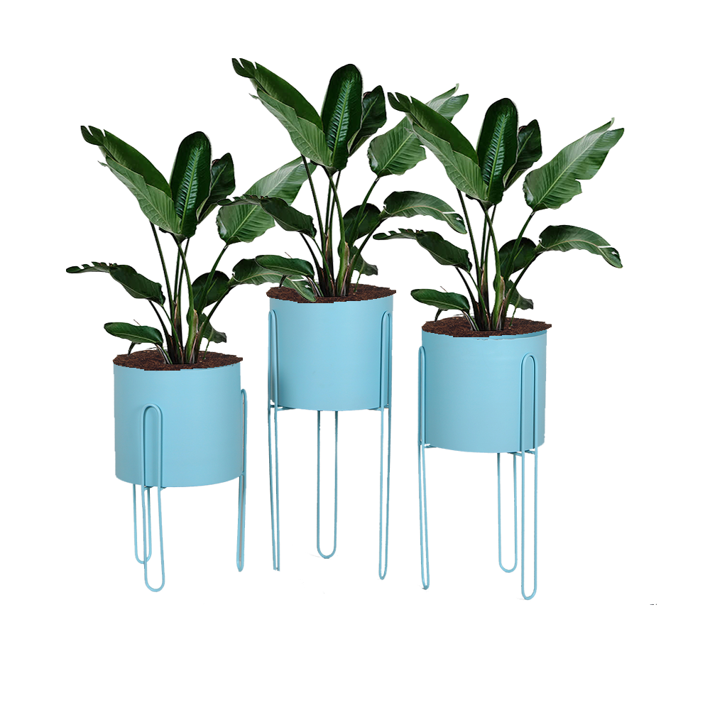 Porta Materas Zen Azul