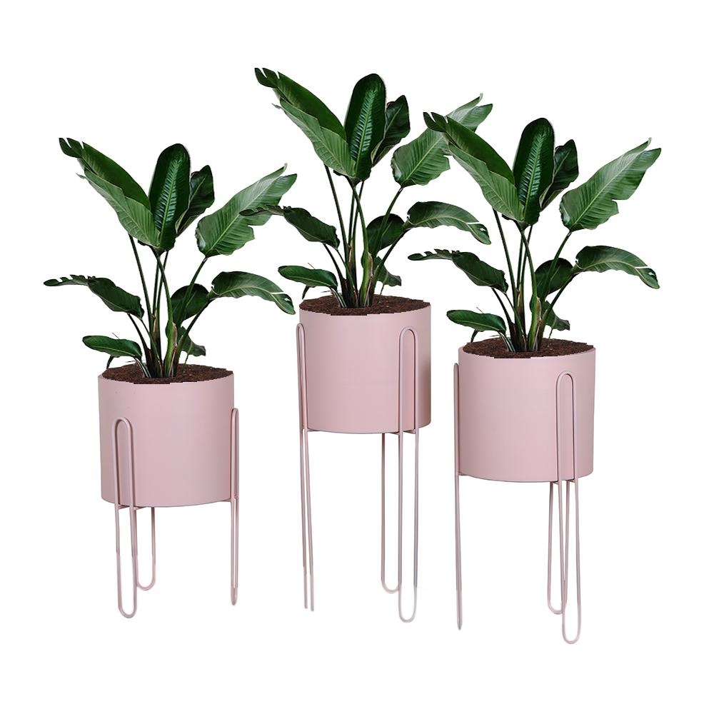 Porta Materas Zen Rosa