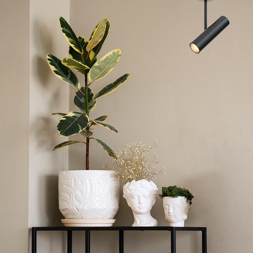 Spot Para Sobreponer x1