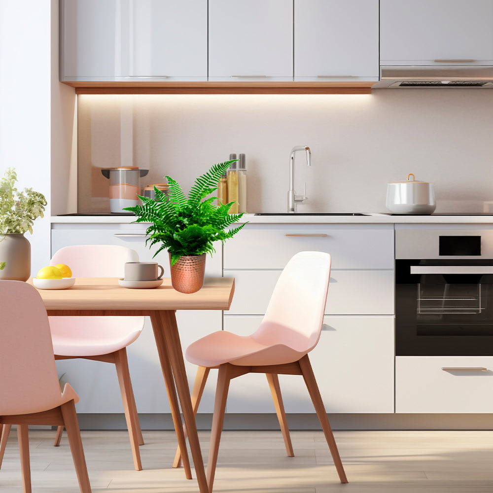 Porta Matera de Mesa Ashwin