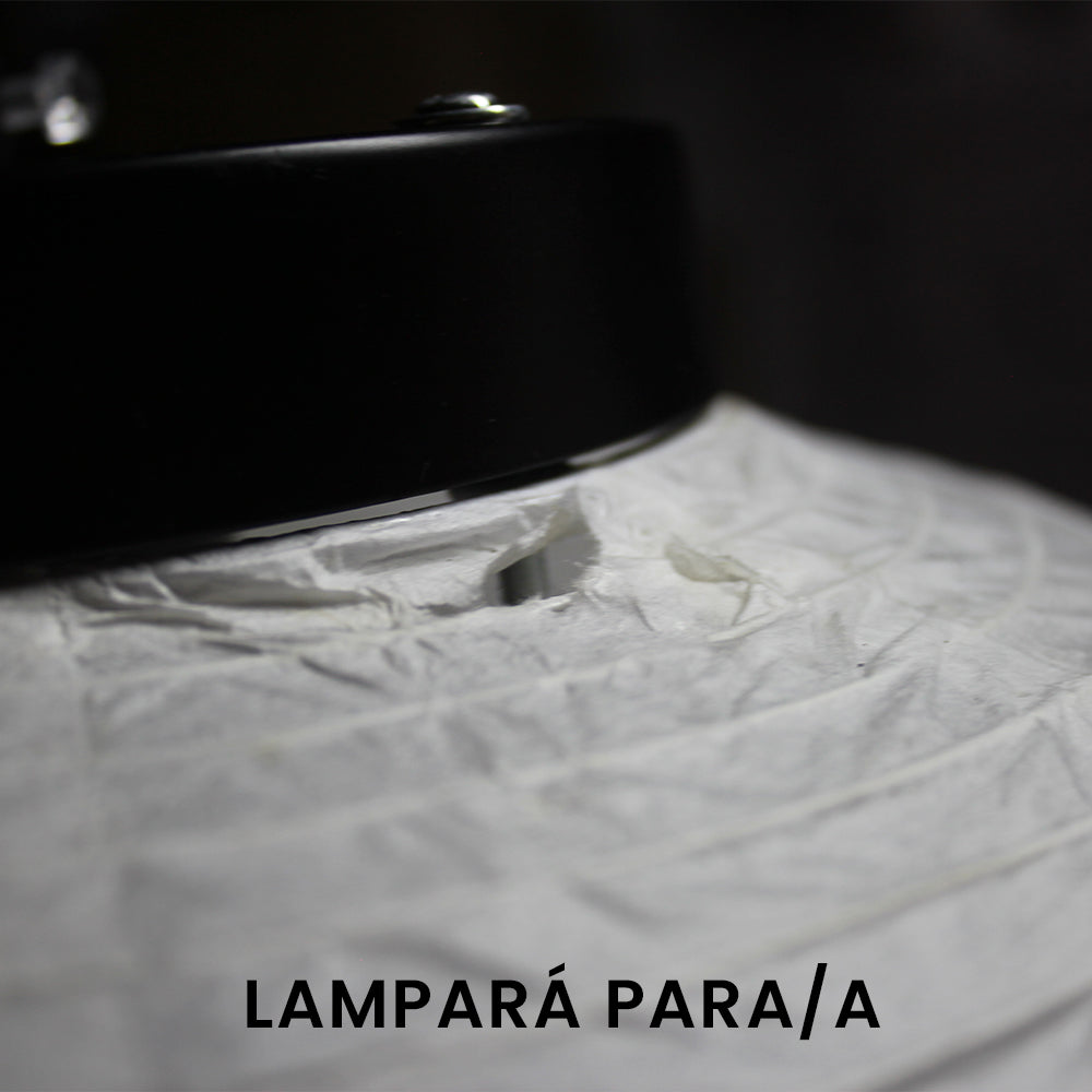 Lampara de techo PARA/A EN LIQUIDACION