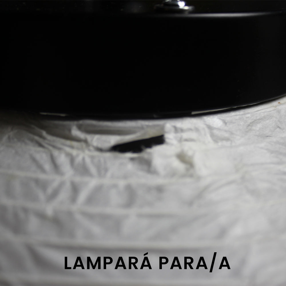 Lampara de techo PARA/A EN LIQUIDACION