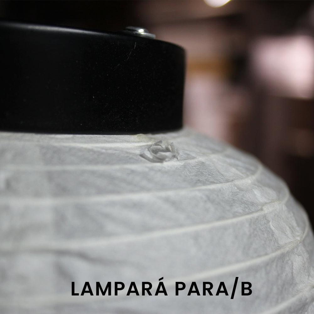 Lampara de techo PARA/B en liquidacion