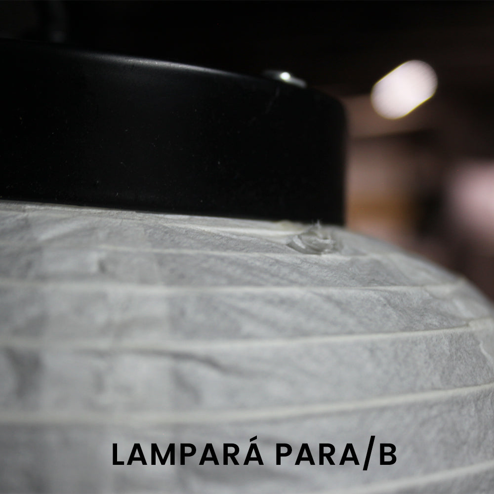 Lampara de techo PARA/B en liquidacion