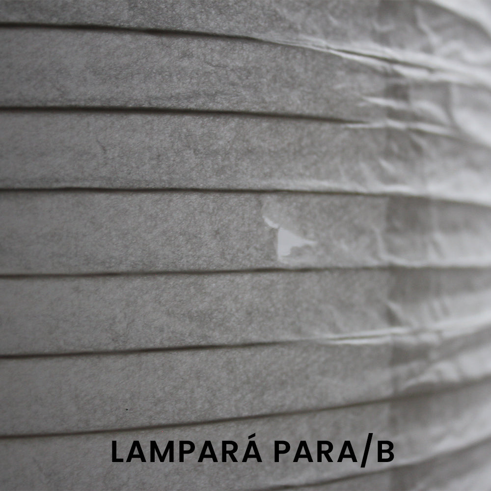 Lampara de techo PARA/B en liquidacion