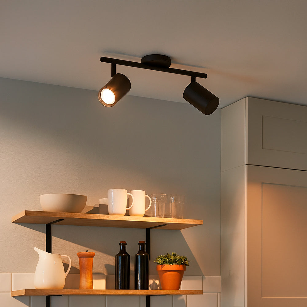 Aplique De Pared o techo X2 putin Negro