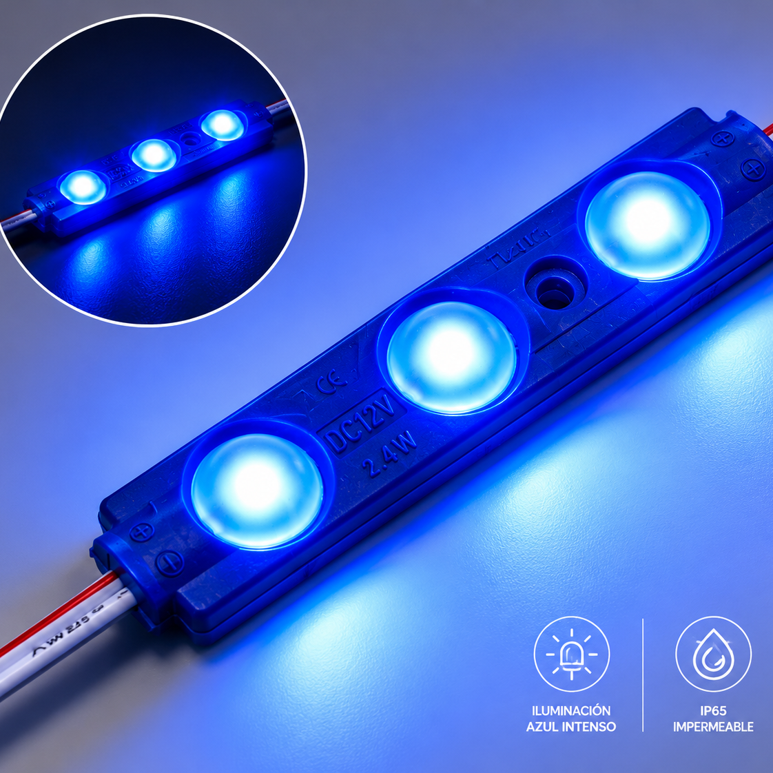 Modulo inyectado Azul