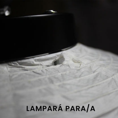 Lampara de techo PARA/A EN LIQUIDACION