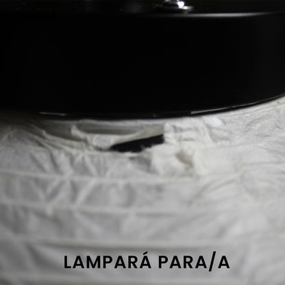 Lampara de techo PARA/A EN LIQUIDACION