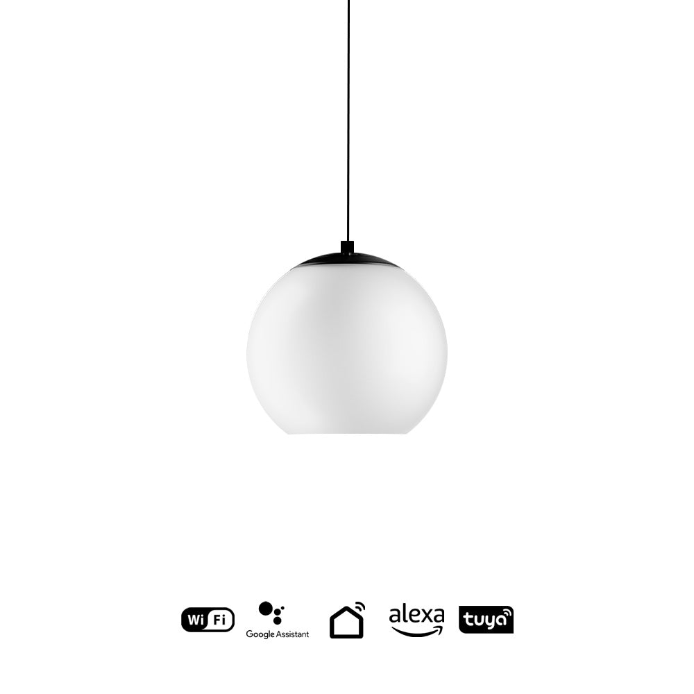 Accesorio Tracklight PULCO