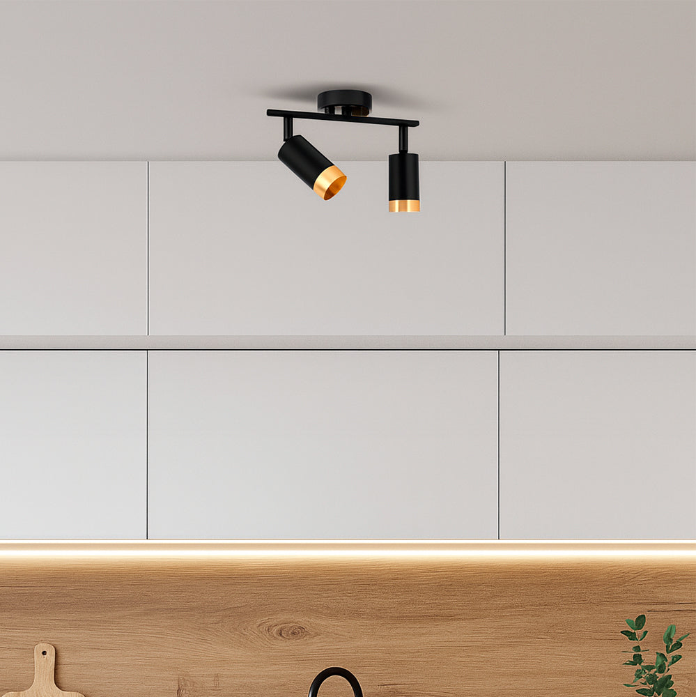 Aplique De Pared o techo X2 putin Negro Dorado