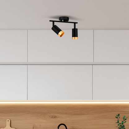 Aplique De Pared o techo X2 putin Negro Dorado